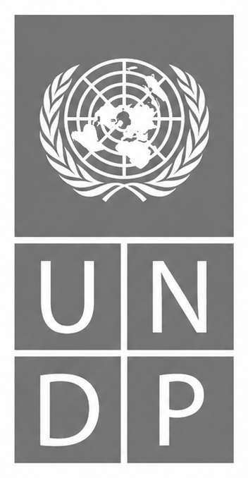 UNDP